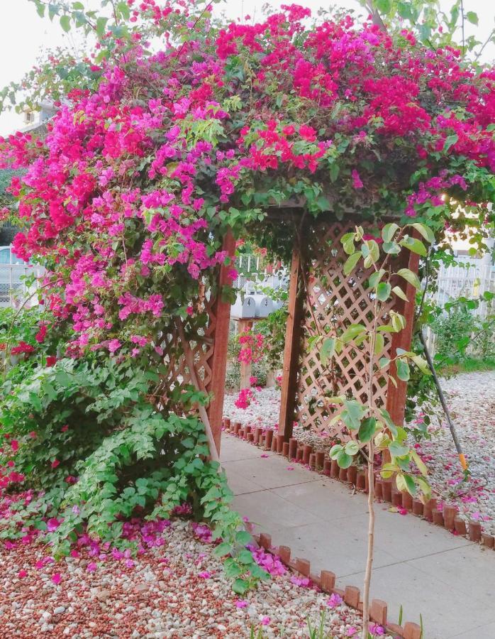 The Red Guest House In Downtown ลอสแอนเจลิส ภายนอก รูปภาพ